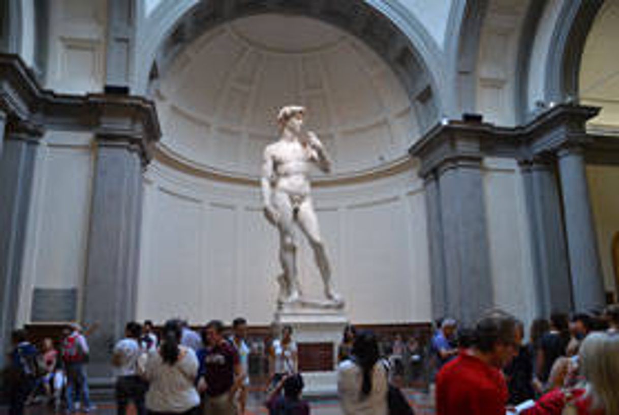 Place Galería de la Academia de Florencia