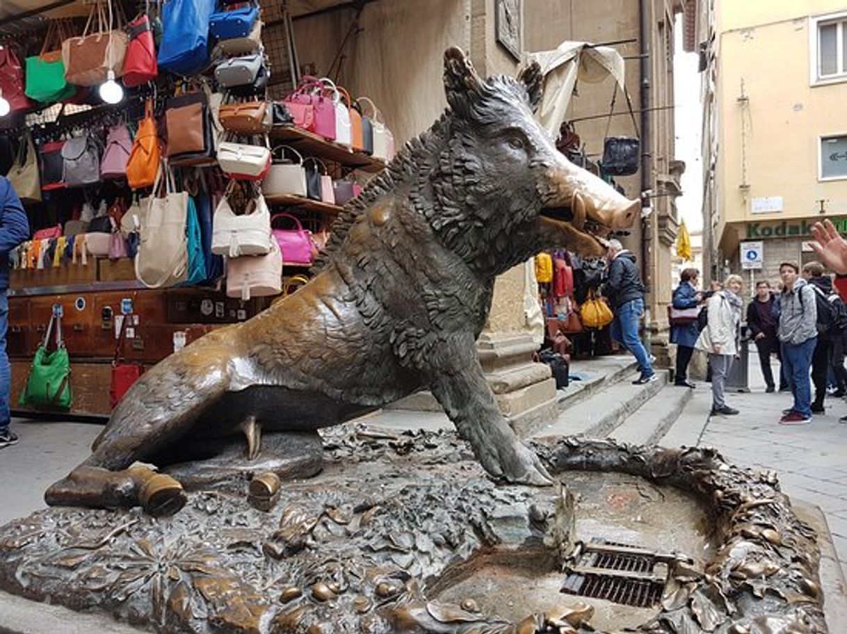 Place Fontana del Porcellino