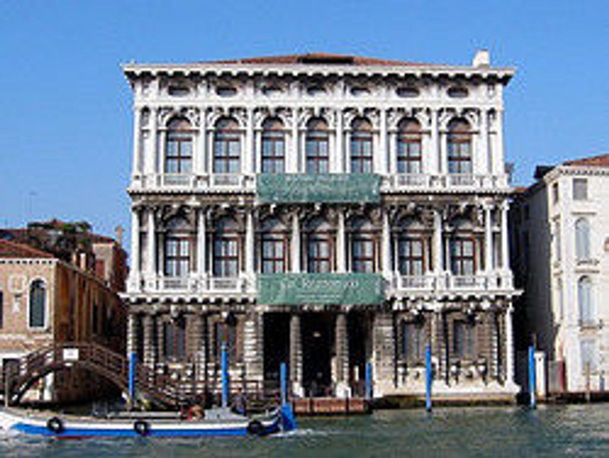 Place Ca' Rezzonico