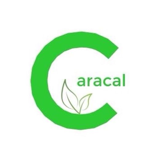 CarcalCoin