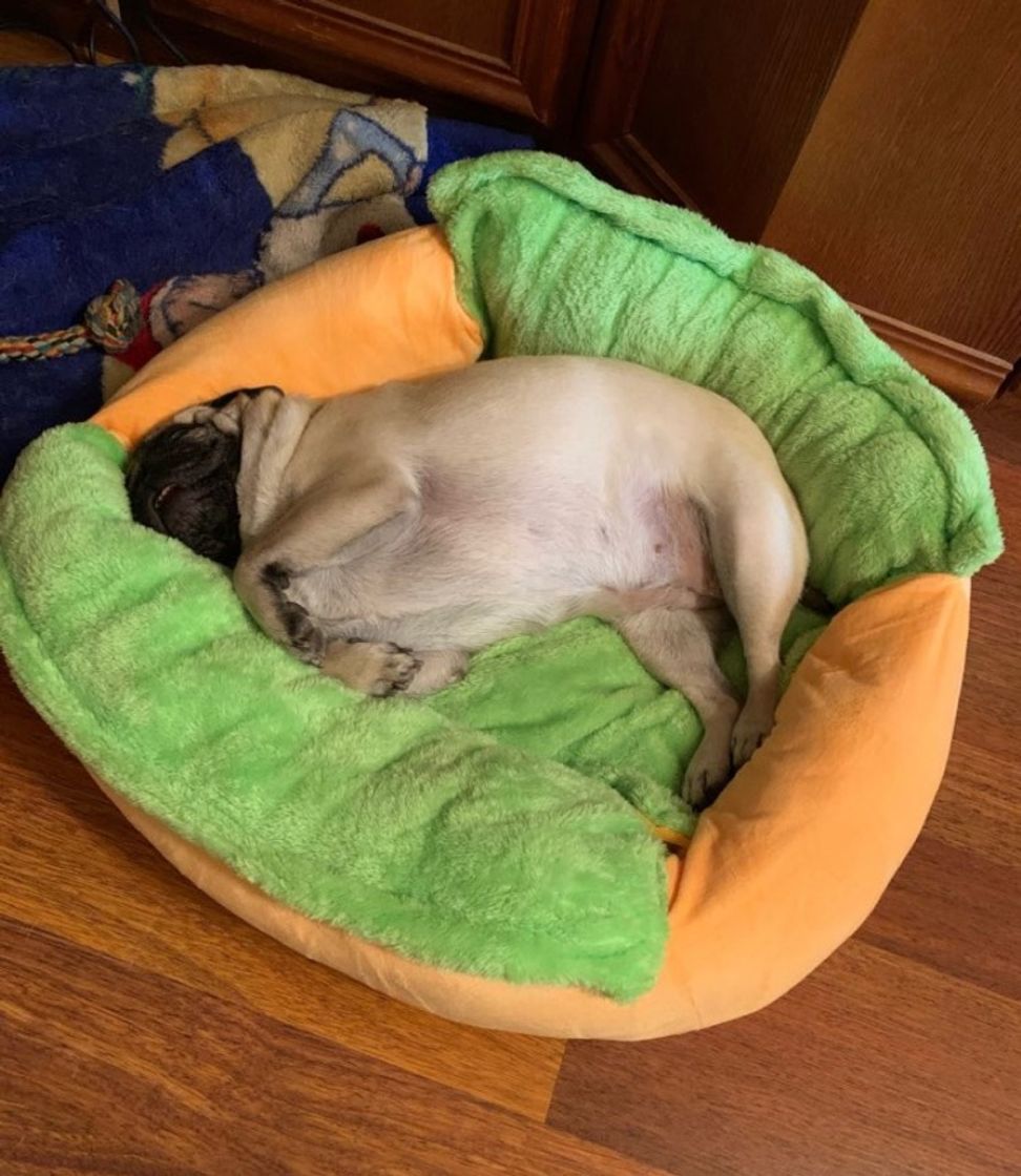 Social Hot Dog Bed various Size Large Dog Lounger Bed Kennel Mat Soft ...