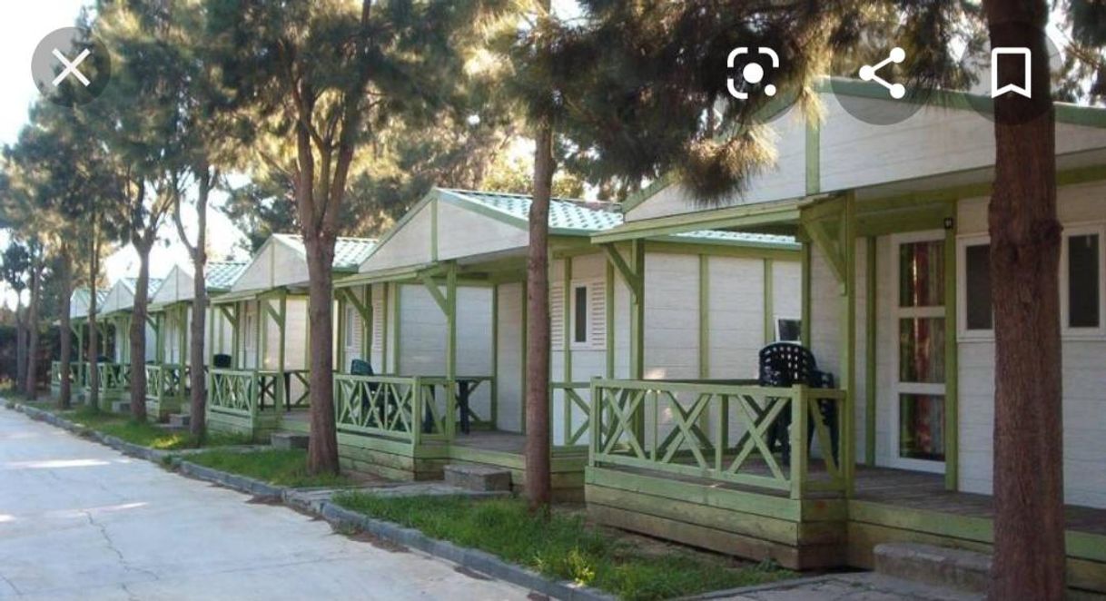 Lugar Camping Paloma