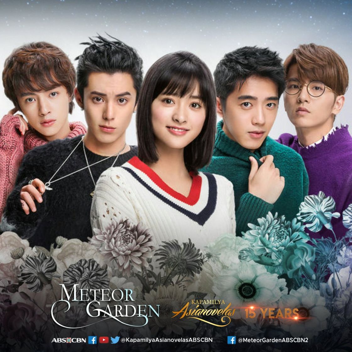 Serie Meteor Garden | Netflix Official Site