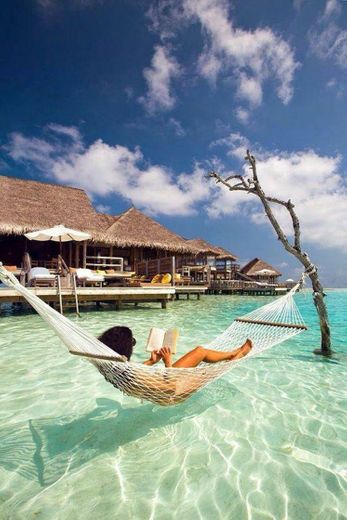 Ilha Maldivas 😍