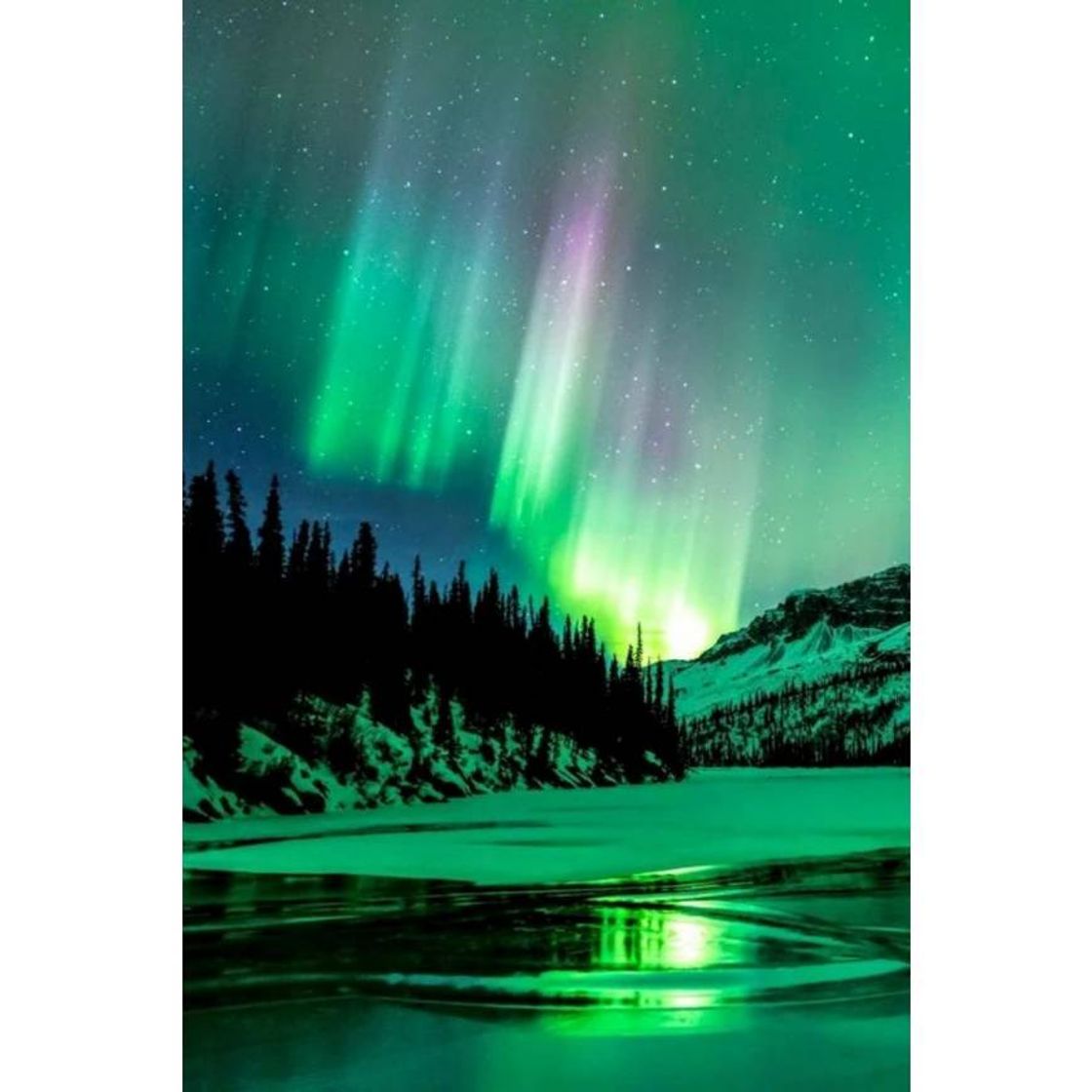 Fashion Northern Lights💚✨