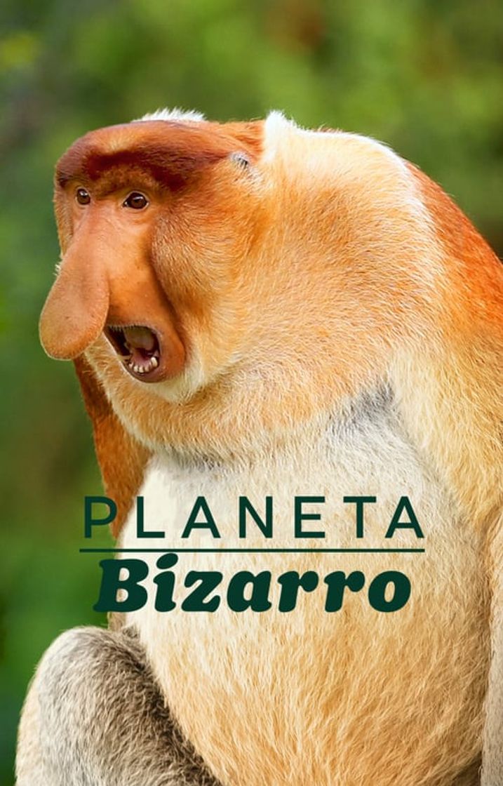 Serie Un planeta absurdo