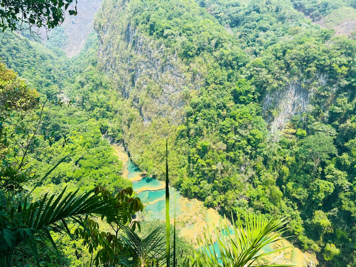 Lugar Semuc Champey