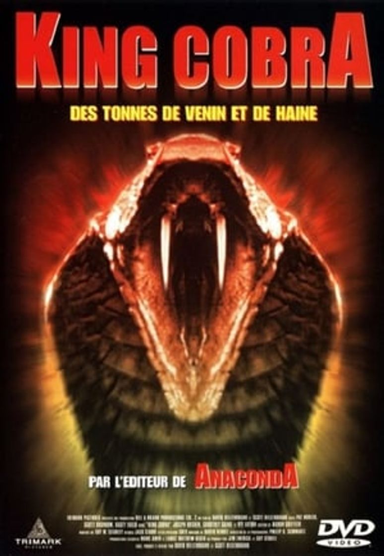 Movie King Cobra