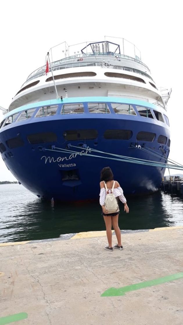 CRUCERO PULLMANTUR Y DEL CARIBE