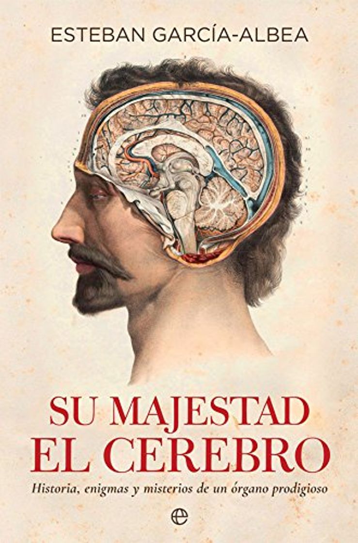 Book Su majestad el cerebro