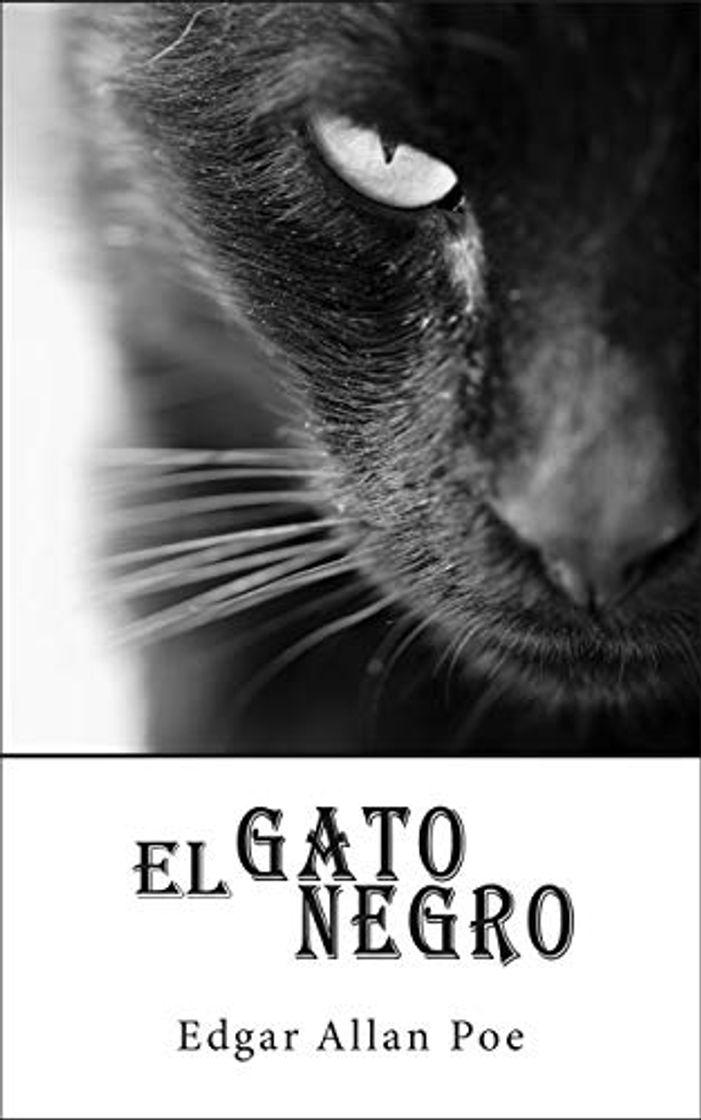 Book El Gato Negro