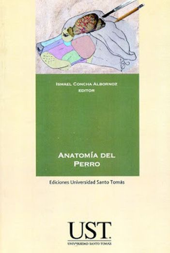 Anatomía del Perro - I. Concha