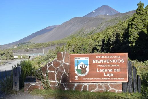 Parque Nacional Laguna del Laja