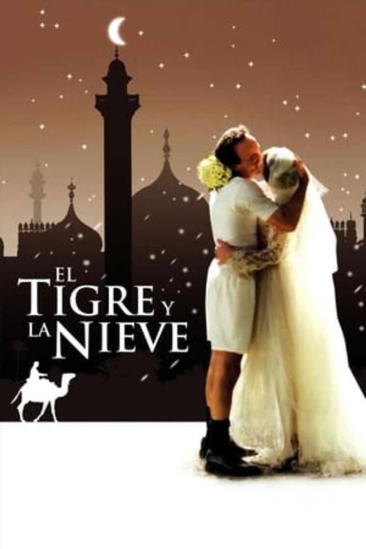 Película El tigre y la nieve