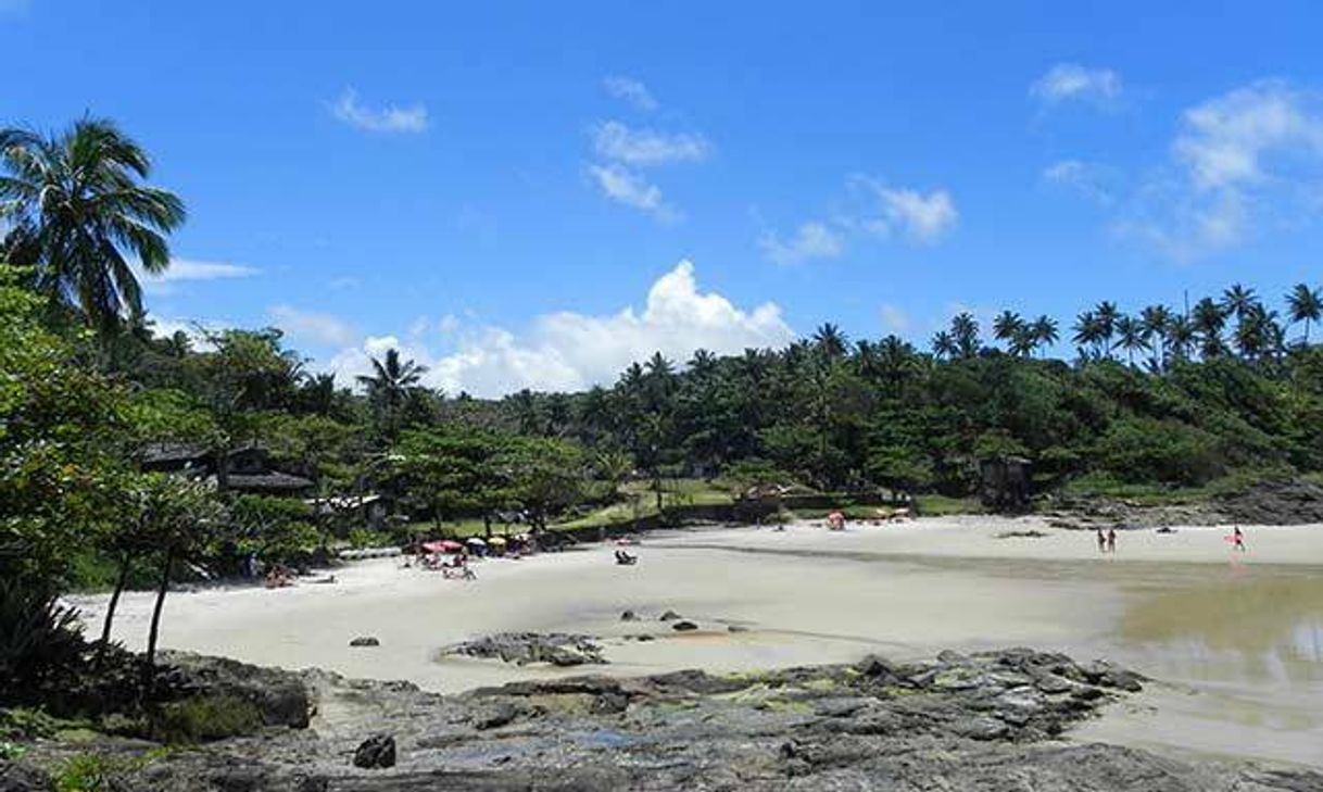 Lugar Praia da Tiririca