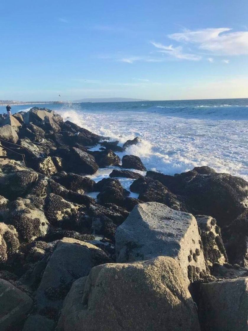 Lugar Venice Beach