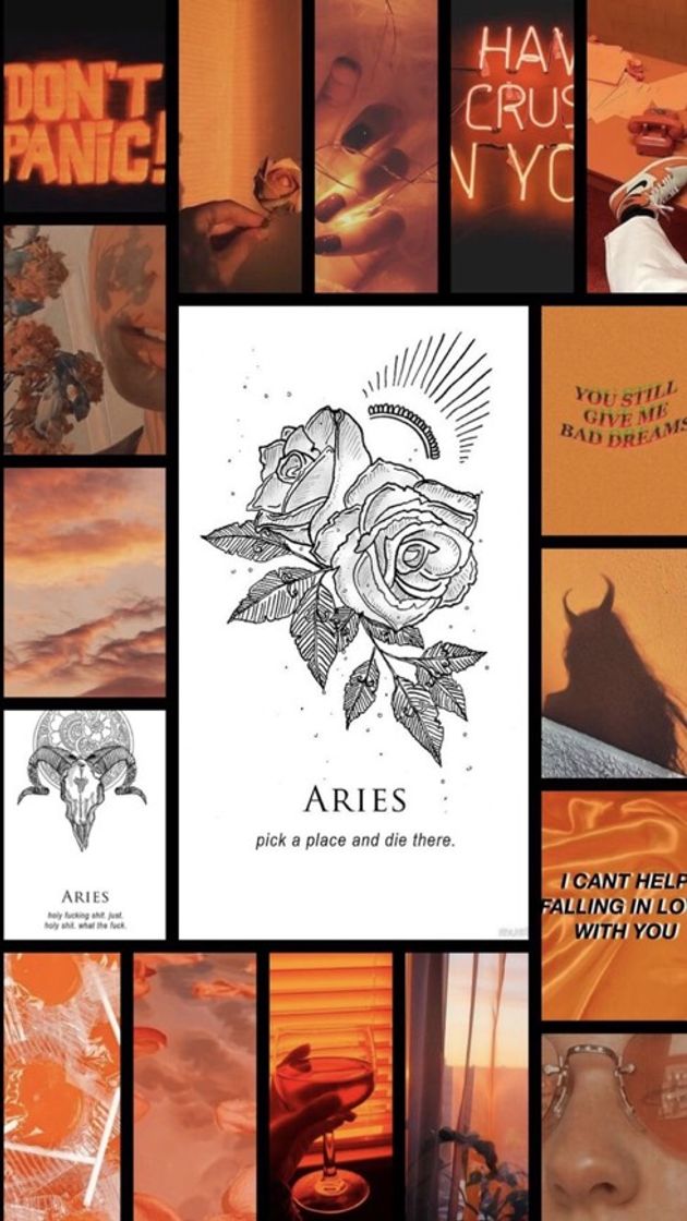 Fashion Aries