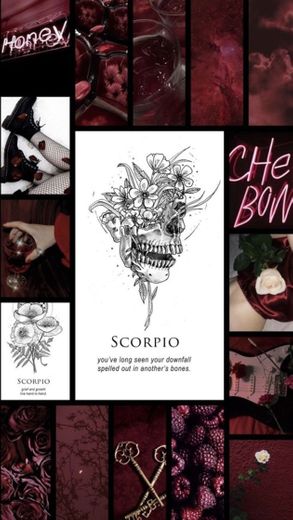 Scorpio | Escorpião 