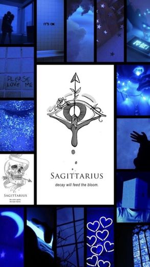 Sagittarius | Sagitário 