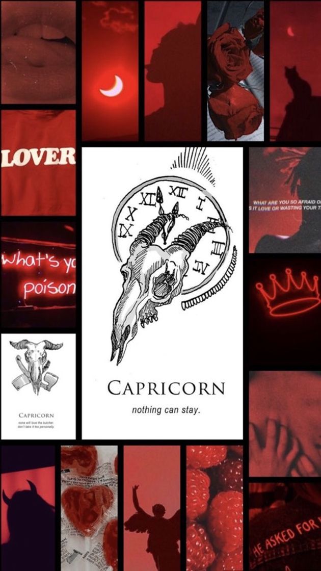 Fashion Capricorn | Capricórnio