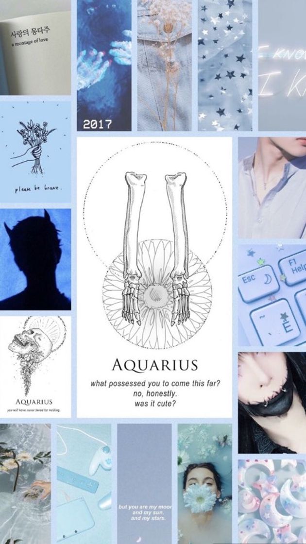 Fashion Aquarius | Aquário 