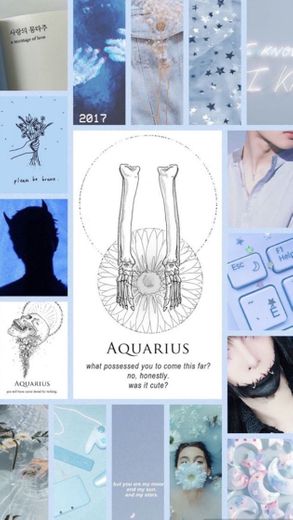 Aquarius | Aquário 