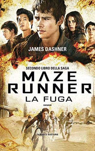 La fuga. Maze Runner