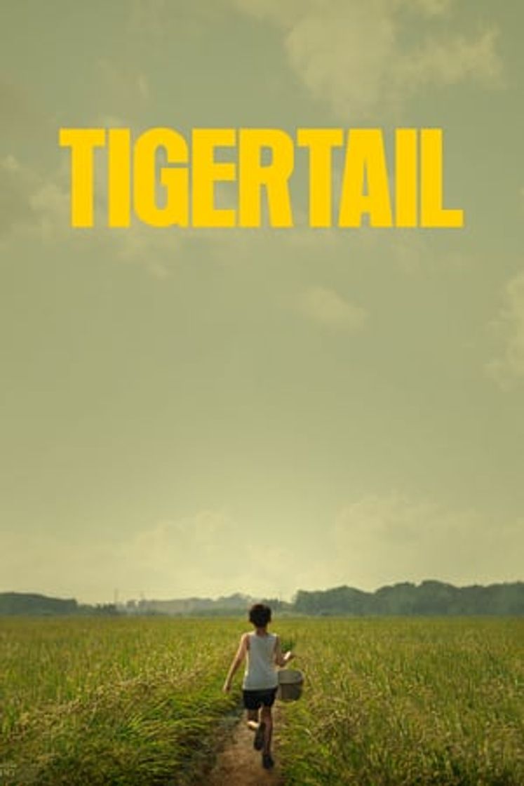 Movie Tigertail