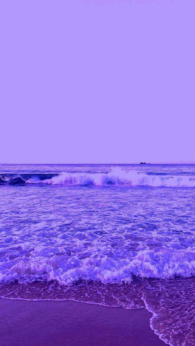 Social Purpura
