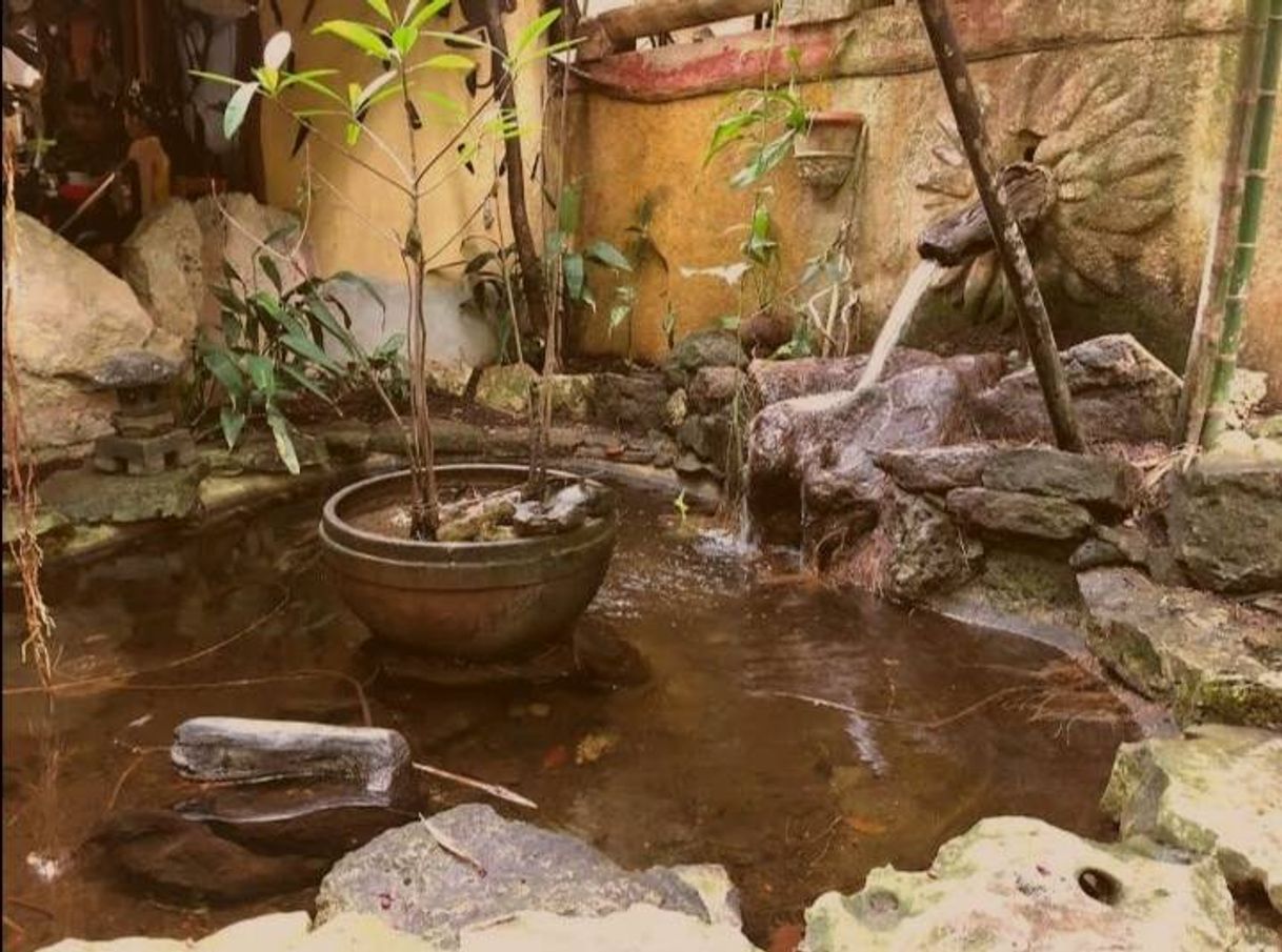 Restaurantes La Cueva del Chango