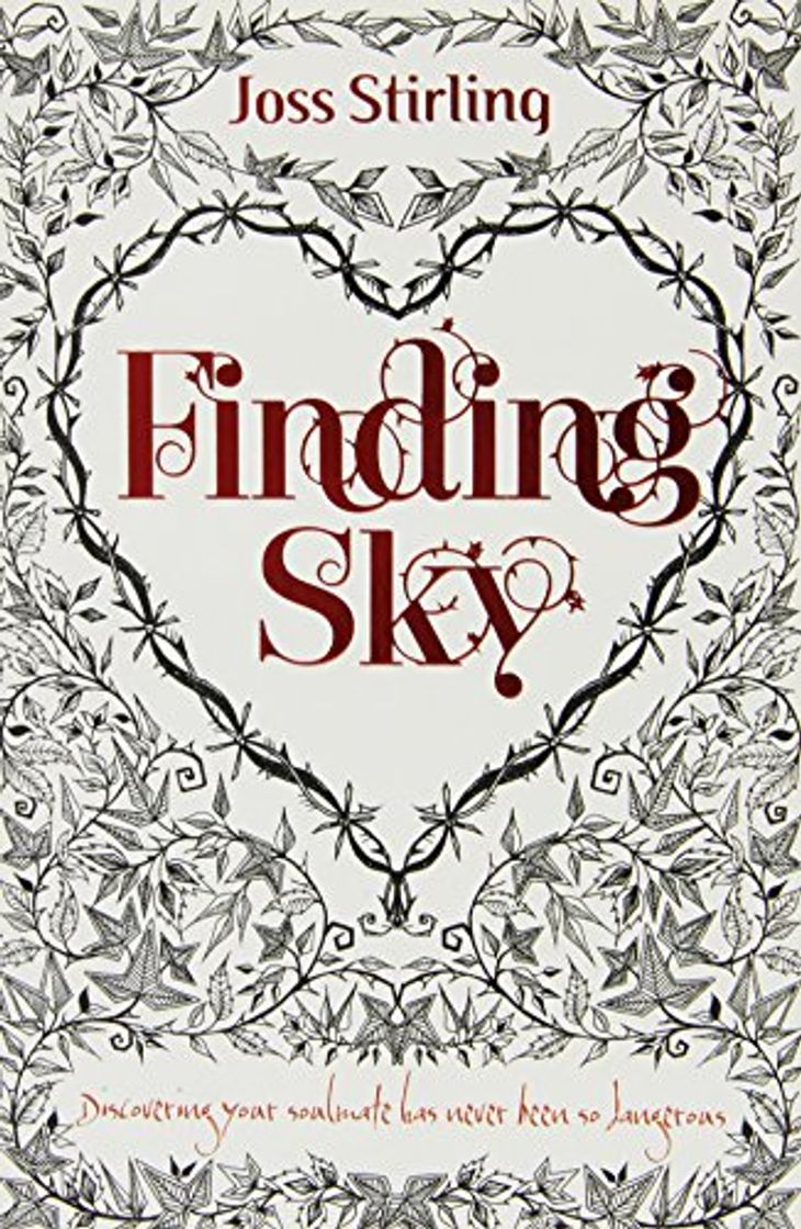 Book Finding Sky