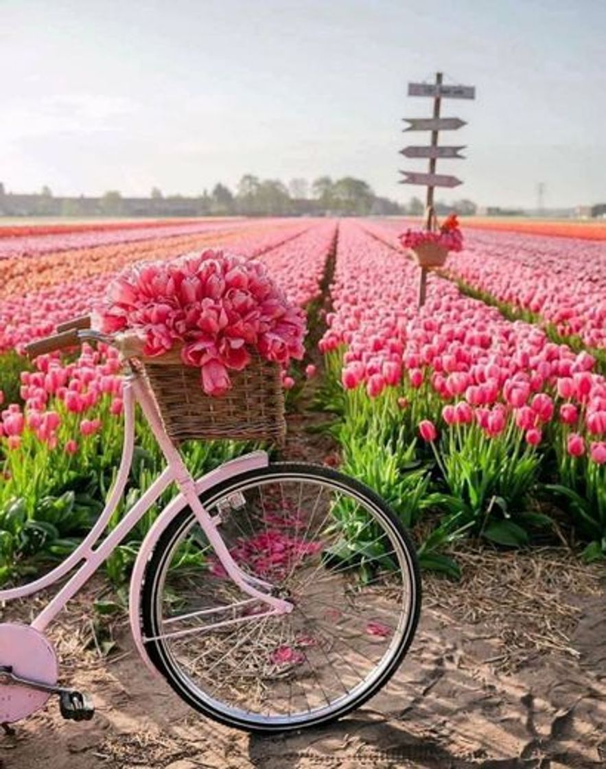 Fashion 🚲🌷🌷