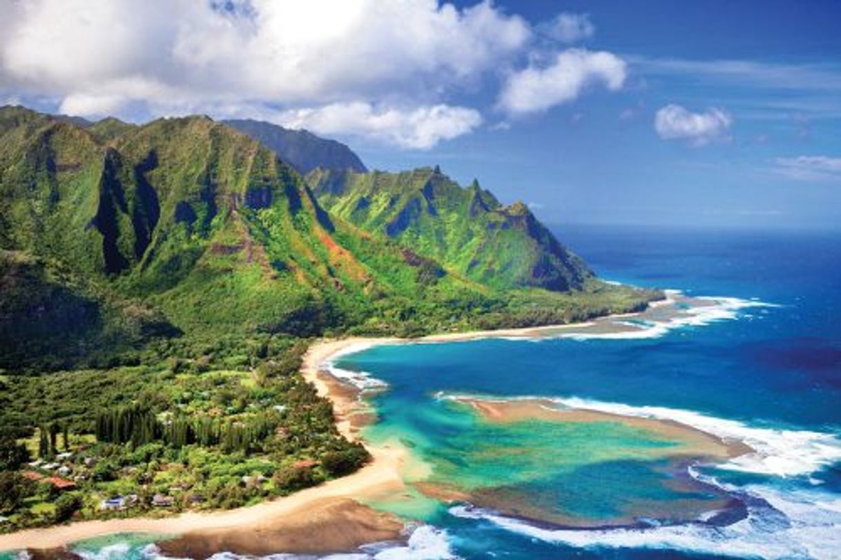 Place Hawaii