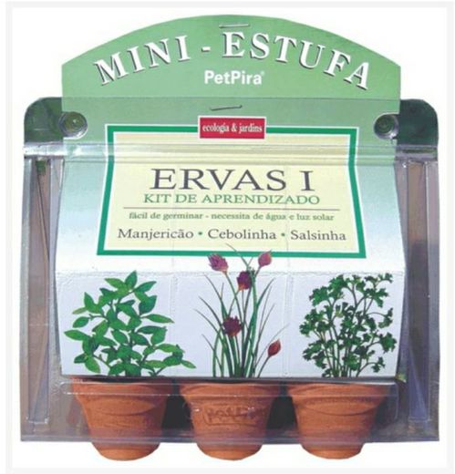 Mini estufa - Ervas 