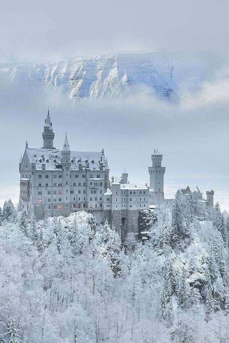 Social Bavaria