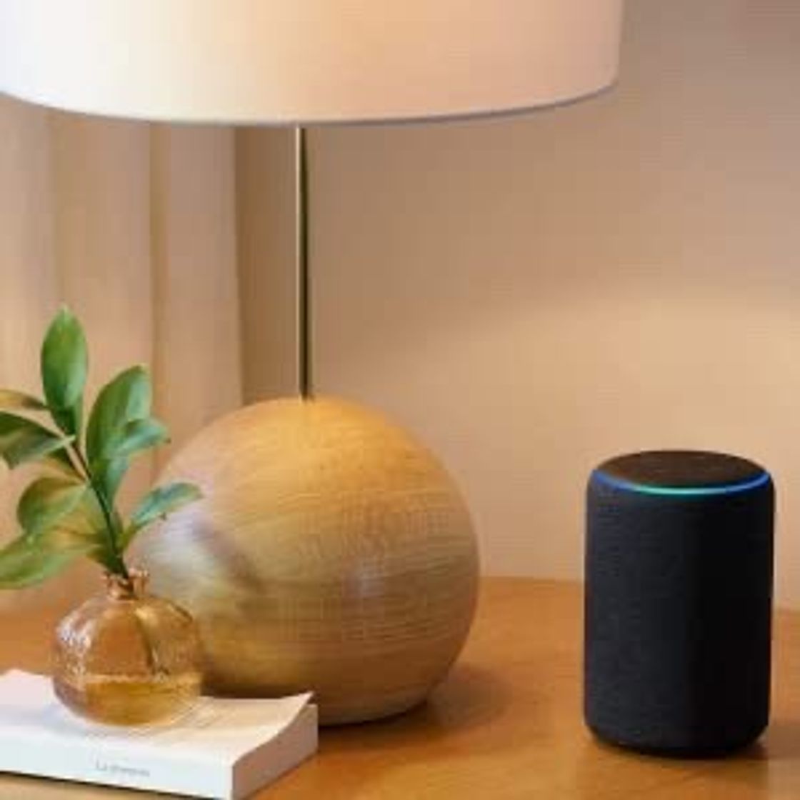 Fashion Amazon Echo