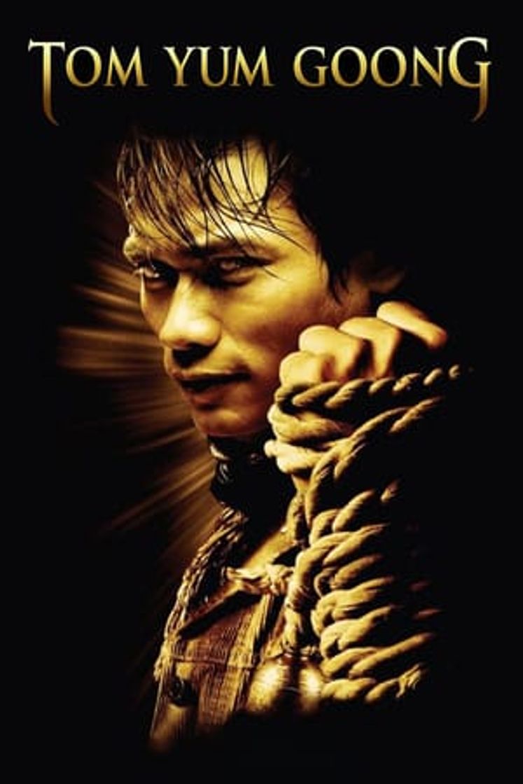 Movie Thai Dragon: El Protector