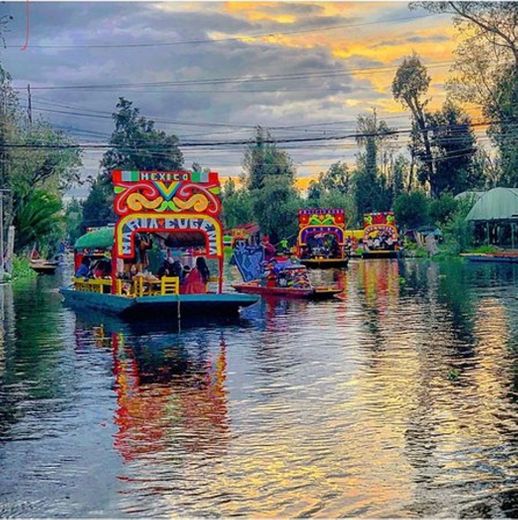 Xochimilco Tours Trajineras​​​​​​​