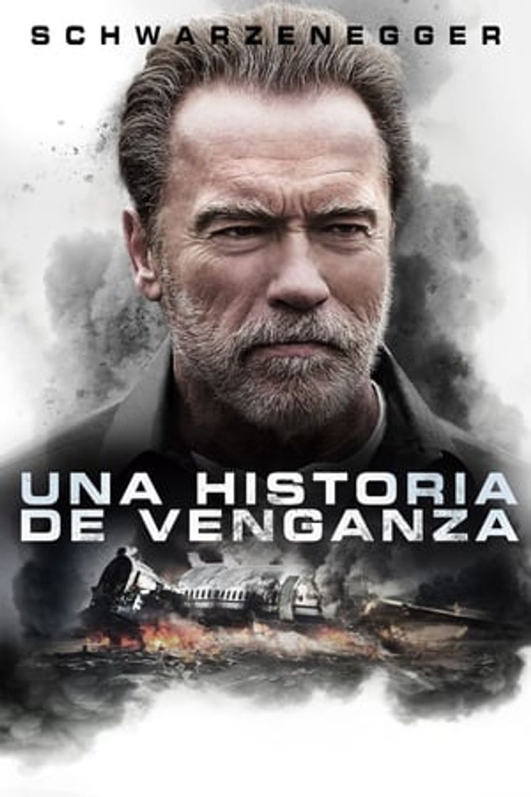 Movie Una historia de venganza