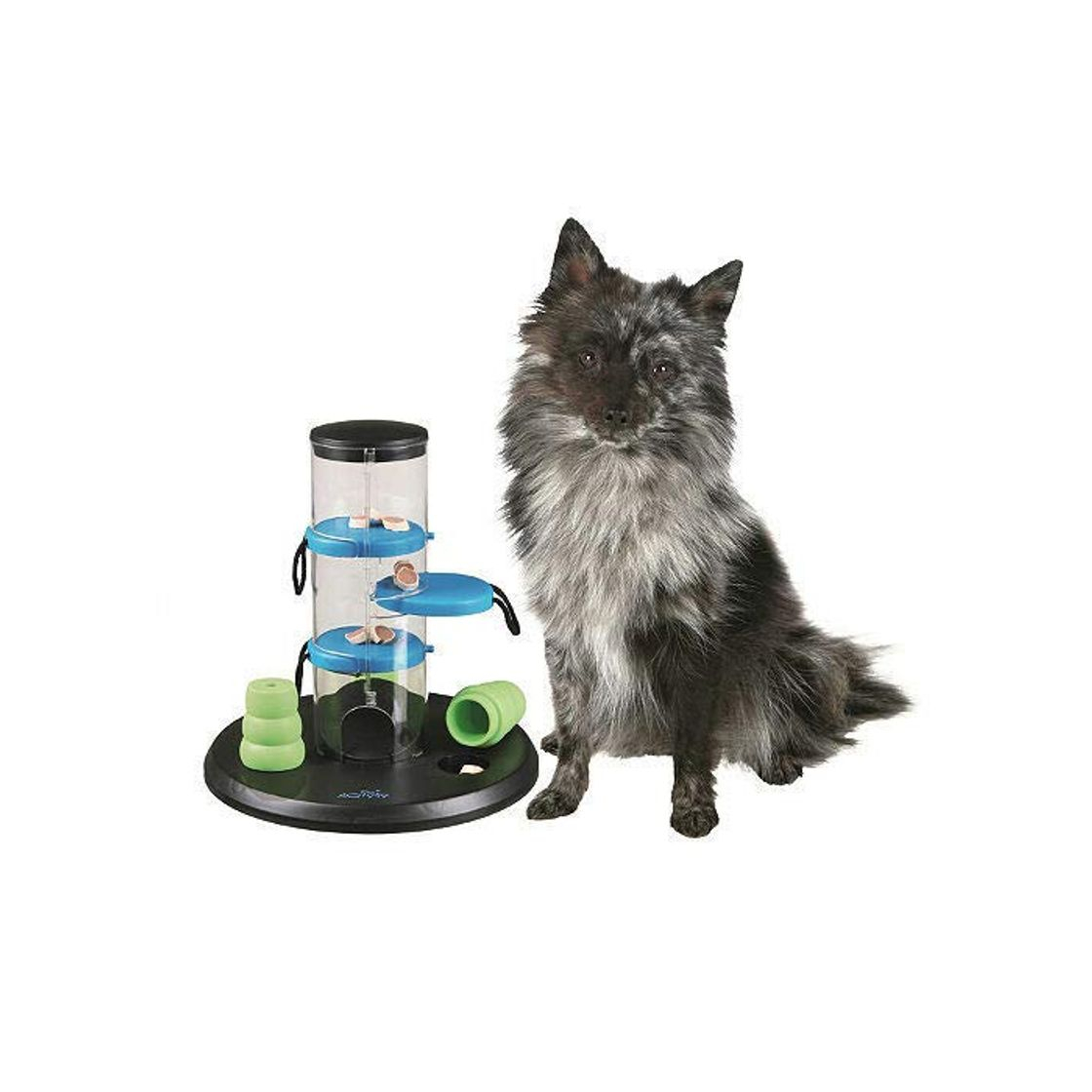 Products Dog Activity Gambling 