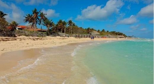 12 Mejores Playas de Cuba 🥇 | Blog Viva Aerobus