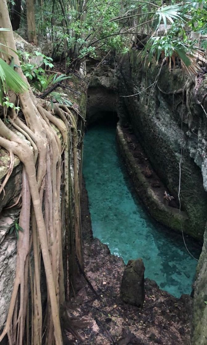 Place Xcaret