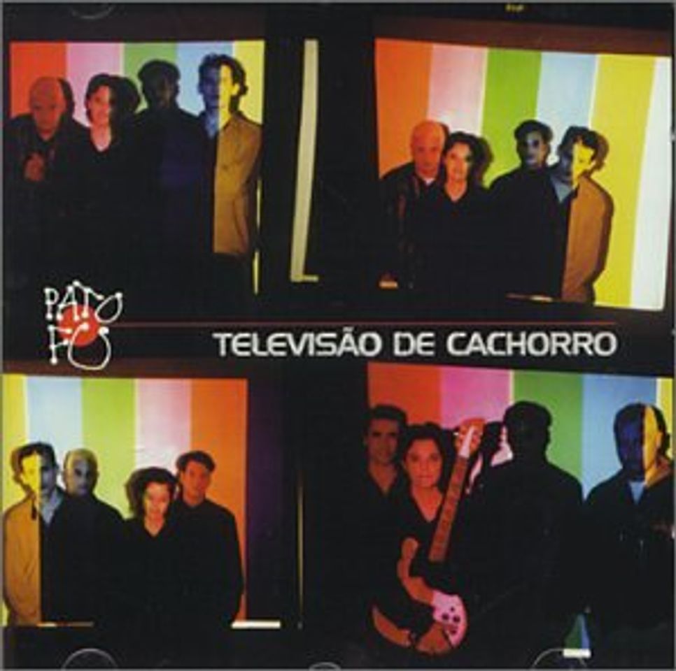 Social Televisao de Cachorro