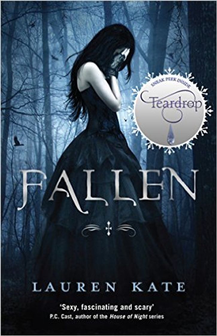 Book Fallen: Book 1 of the Fallen Series