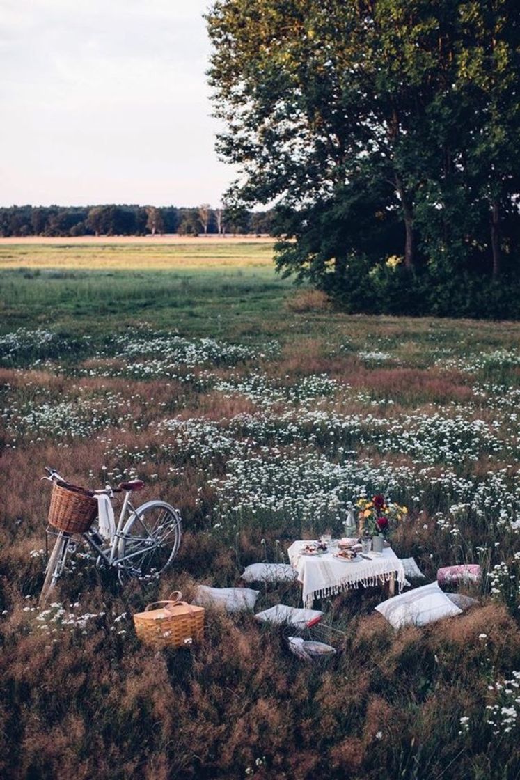 Social Natureza 🌿