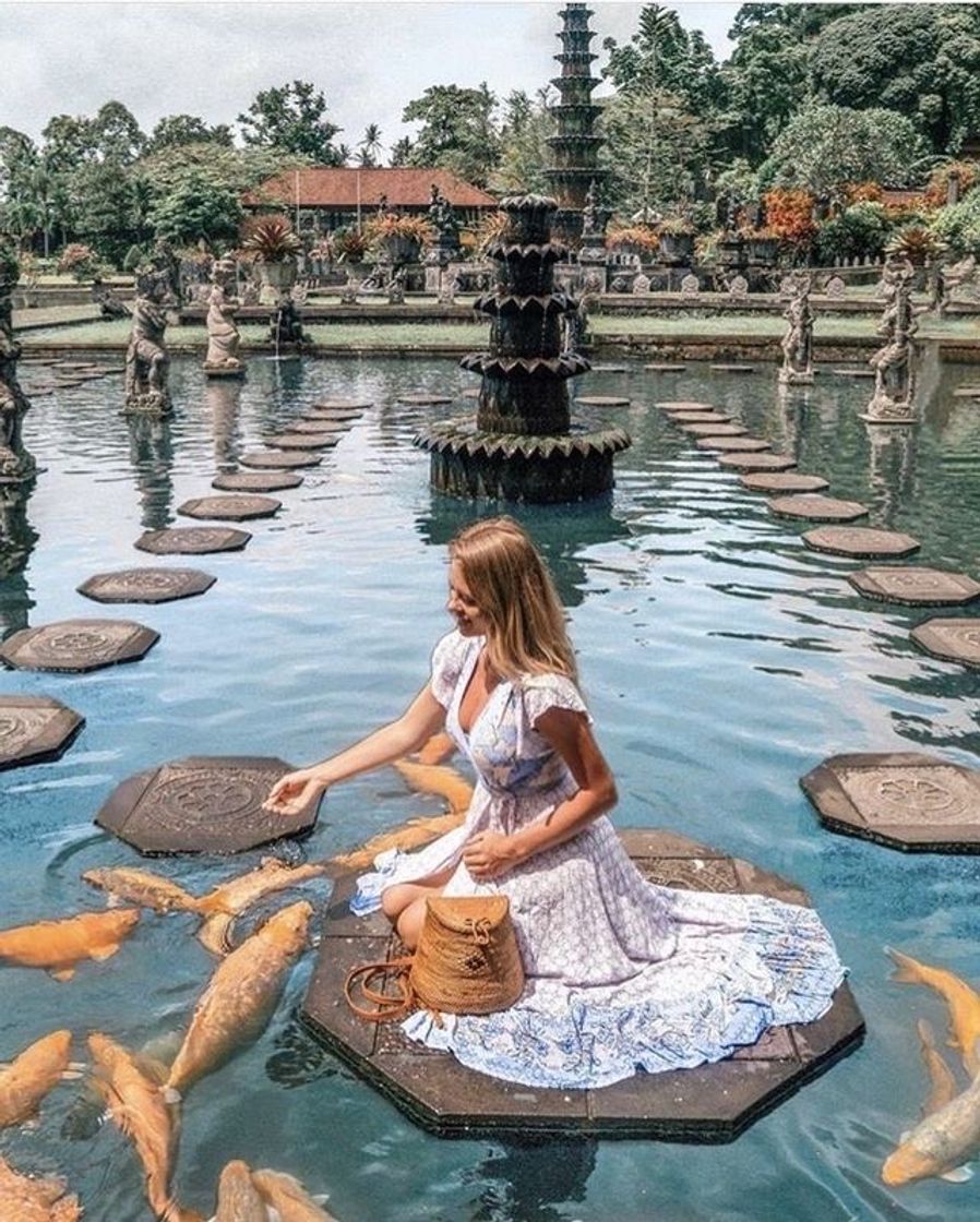 Social Bali 