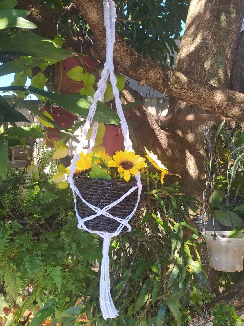 Social Suportes de vasos em macrame 🌱🌺