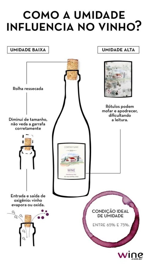 Fashion Vinhos