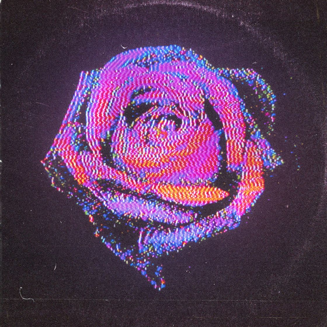 Canción Rose