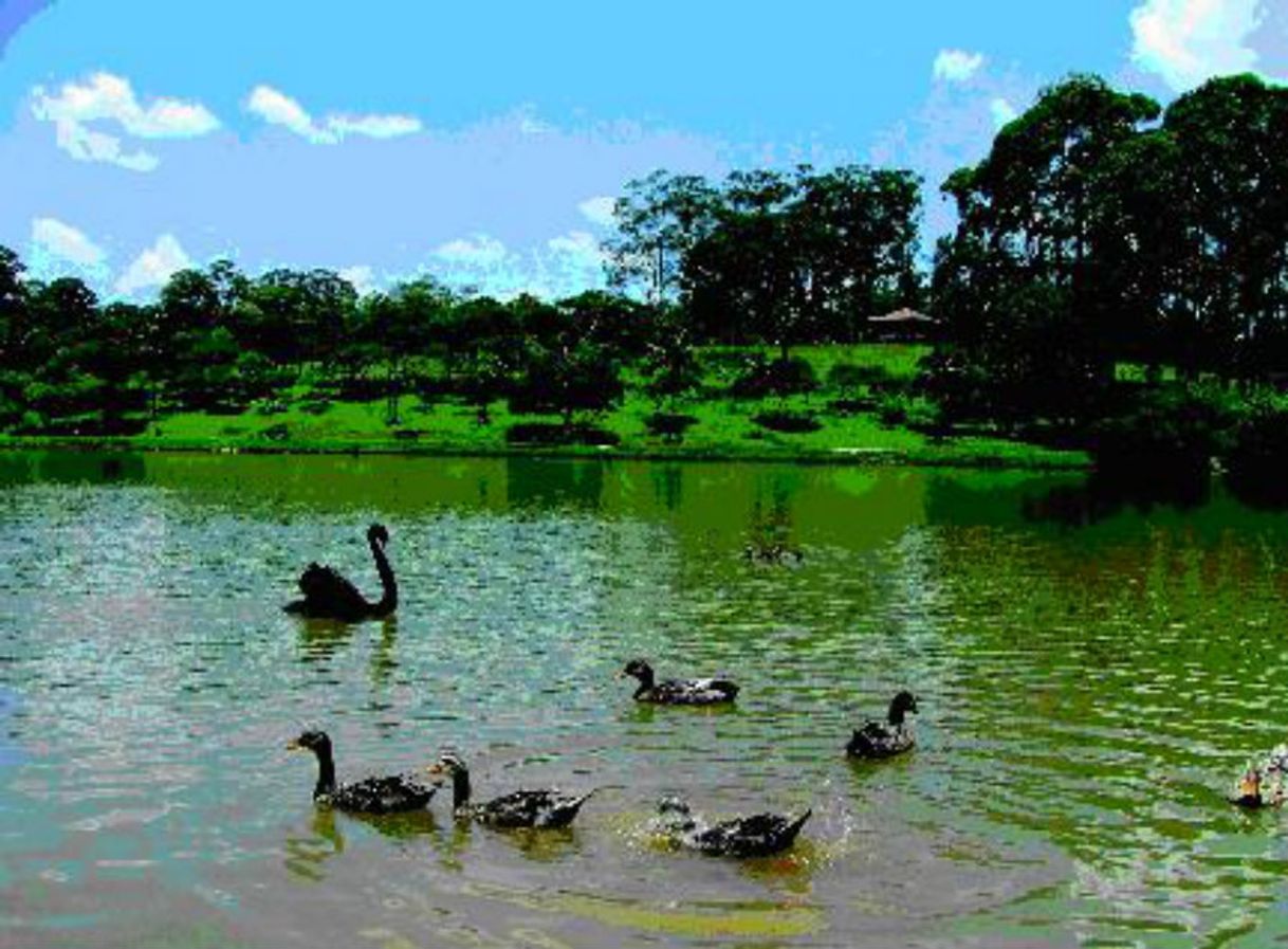 Place Parque do Carmo – Olavo Egydio Setúbal